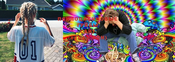 мяу мяу мука Инта
