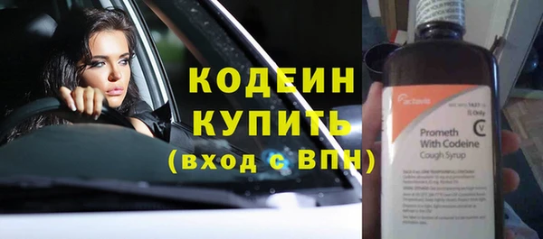 шишки Заволжск