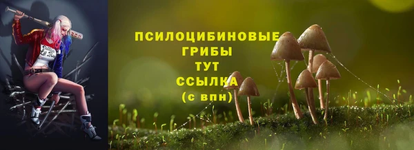 ПСИЛОЦИБИНОВЫЕ ГРИБЫ Заволжье