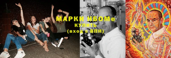 шишки Заволжск