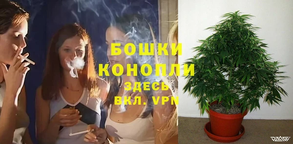 мяу мяу мука Инта