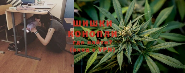 шишки Заволжск