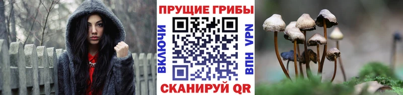 Псилоцибиновые грибы MAGIC MUSHROOMS  Лангепас 