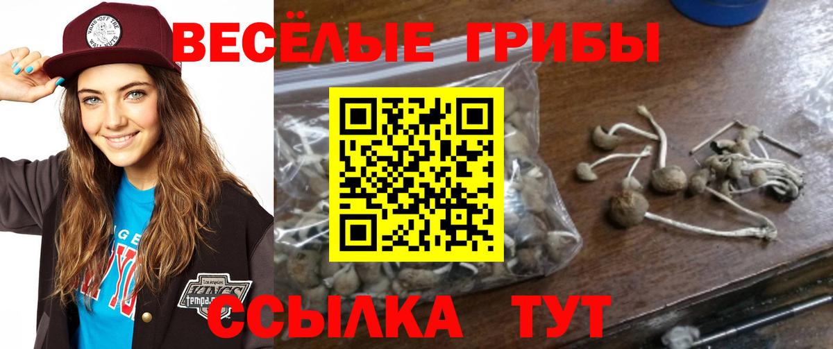 Галлюциногенные грибы Psilocybine cubensis  Псилоцибиновые грибы мухоморы  Лангепас  Вход с VPN 